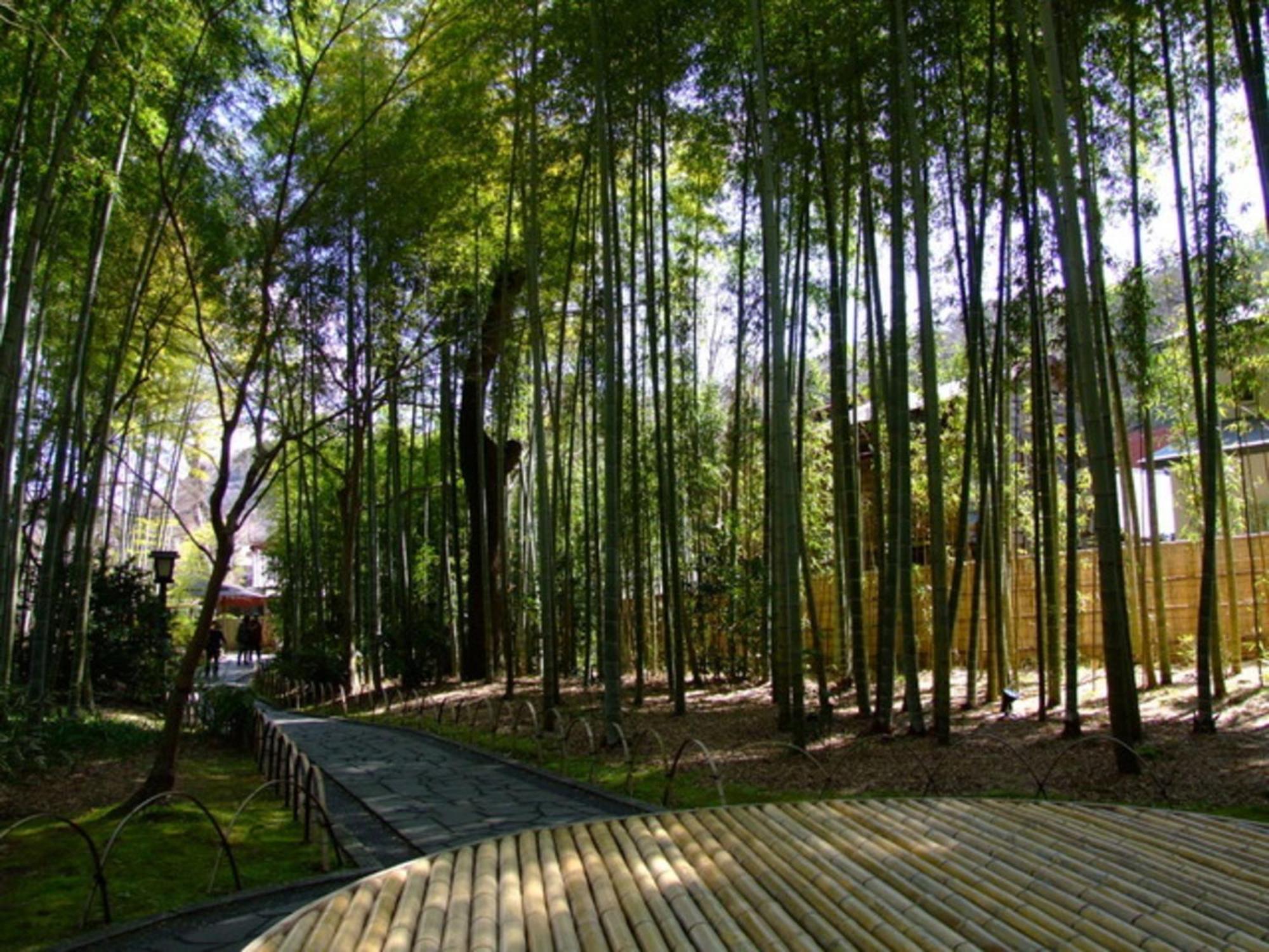 Breezbay Shuzenji Hotel Izu  Dış mekan fotoğraf